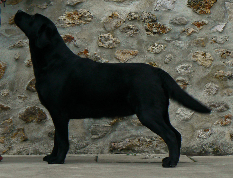 Unconditional blue pillow Off newfoundland coast
