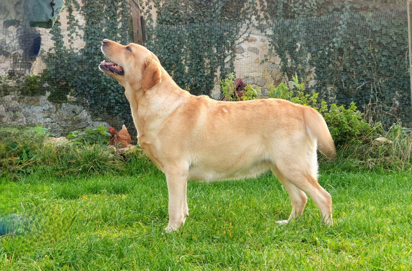 That's maya de La légende de la loutre
