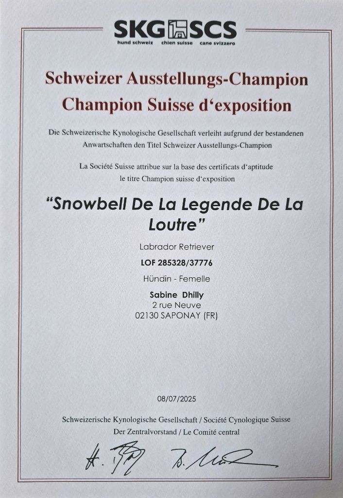 Snowbell devient Championne de Suisse 